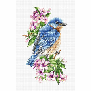 Oiseau bleu sur la branche B1198 Luca-S
