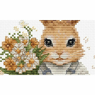 Surprise du Lapin B1409 Luca-S