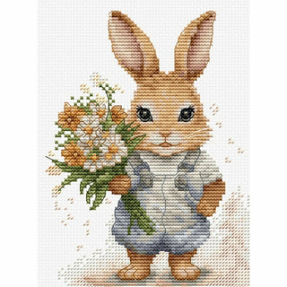 Surprise du Lapin B1409 Luca-S