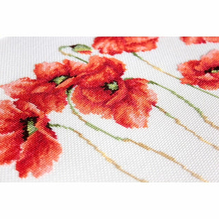 Coquelicots B2223 Luca-S