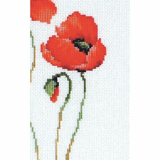 Coquelicots rouge B2225 Luca-S