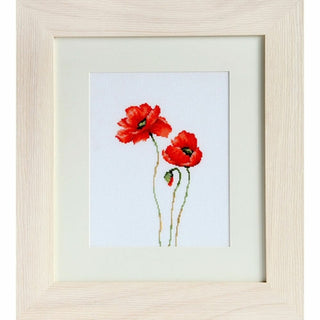 Coquelicots rouge B2225 Luca-S