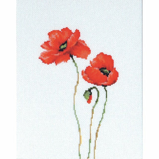 Coquelicots rouge B2225 Luca-S
