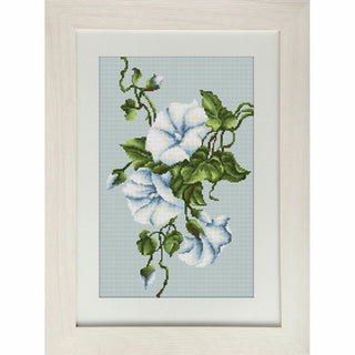 Liserons bleu B2232 Luca-S