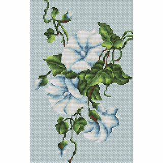 Liserons bleu B2232 Luca-S
