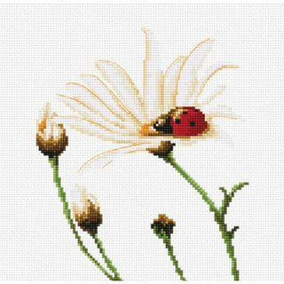 Coccinelle sur marguerite B2246 Luca-S
