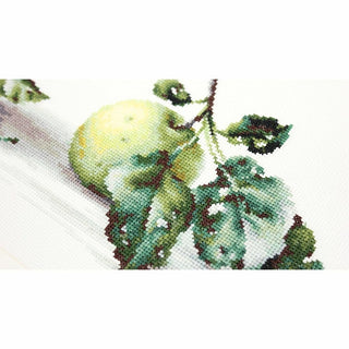 Nature morte aux pommes B2259 Luca-S