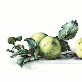 Nature morte aux pommes B2259 Luca-S