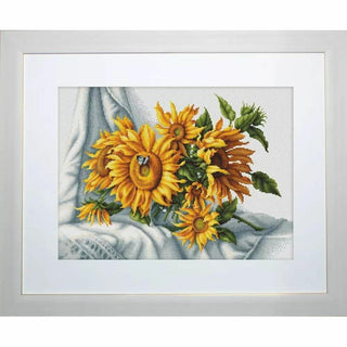 Tournesols B2264 Luca-S