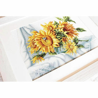 Tournesols B2264 Luca-S
