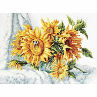 Tournesols B2264 Luca-S