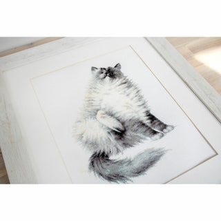 Micky le Chat B2269 Luca-S