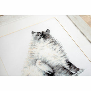 Micky le Chat B2269 Luca-S
