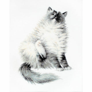 Micky le Chat B2269 Luca-S
