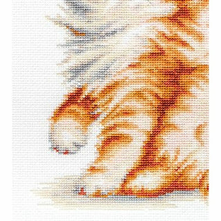 Chaton et Libellule B2270 Luca-S