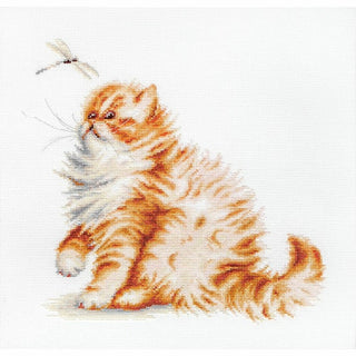 Chaton et Libellule B2270 Luca-S