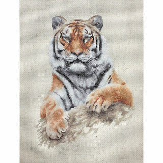 Le Tigre B2289 Luca-S