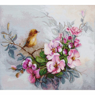 Oiseaux B2314 Luca-S