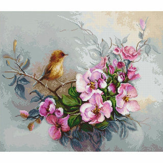 Oiseaux B2314 Luca-S