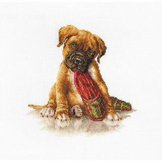 Boxer B2338 Luca-S