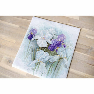 Irises B2367 Luca-S