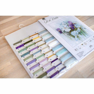 Irises B2367 Luca-S