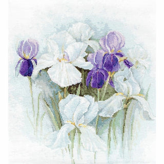 Irises B2367 Luca-S