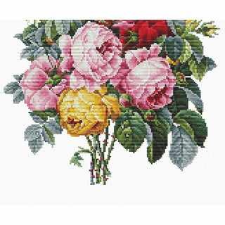 Roses B2372 Luca-S