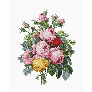 Roses B2372 Luca-S