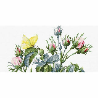 Bouquet de Roses B2373 Luca-S
