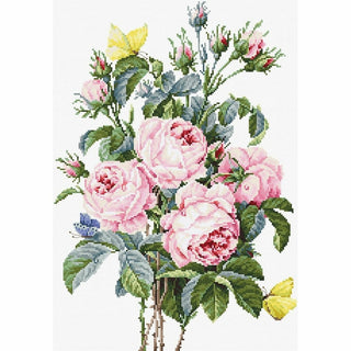 Bouquet de Roses B2373 Luca-S