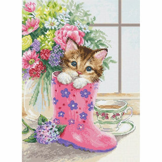 Joli chaton B2390 Luca-S