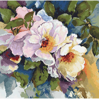 Roses B2402 Luca-S