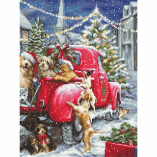 Chiots Noël B2414 Luca-S