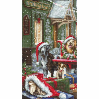 Chiots Noël B2414 Luca-S