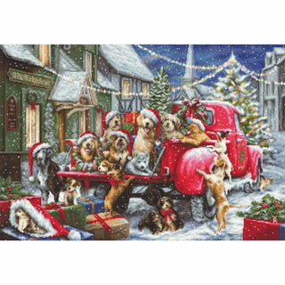 Chiots Noël B2414 Luca-S