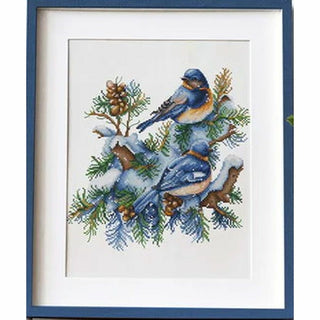Les oiseaux hiver B2418 Luca-S