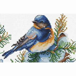 Les oiseaux hiver B2418 Luca-S