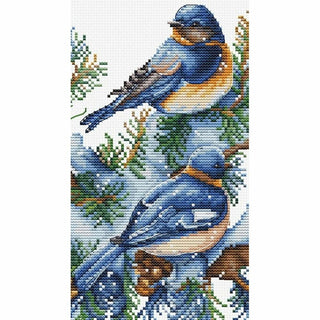 Les oiseaux hiver B2418 Luca-S