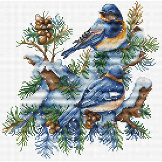 Les oiseaux hiver B2418 Luca-S