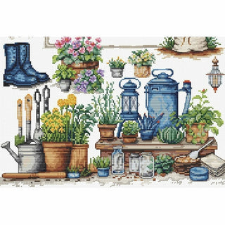 Plantes du jardin B2424 Luca-S
