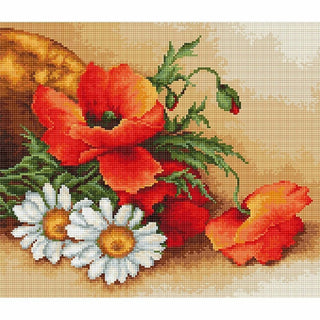 Marguerites et coquelicots B500 Luca-S