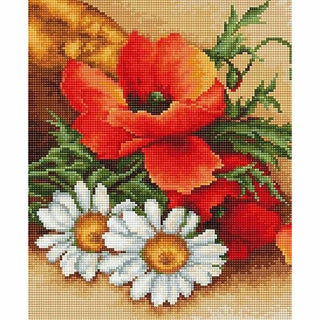 Marguerites et coquelicots B500 Luca-S