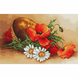 Marguerites et coquelicots B500 Luca-S