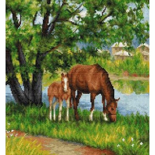 Chevaux dans la Prairie B541 Luca-S