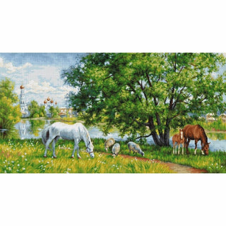 Chevaux dans la Prairie B541 Luca-S