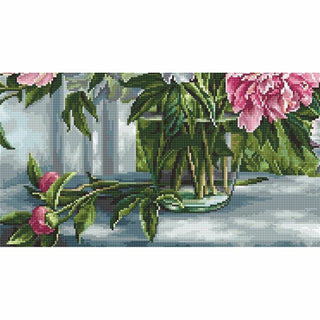 Pivoines près de la fenêtre B594 Luca-S