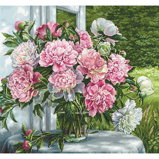 Pivoines près de la fenêtre B594 Luca-S