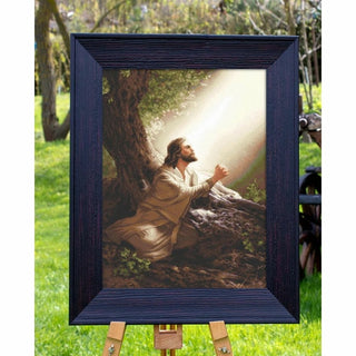 Jésus Christ B618 Luca-S
