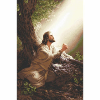 Jésus Christ B618 Luca-S